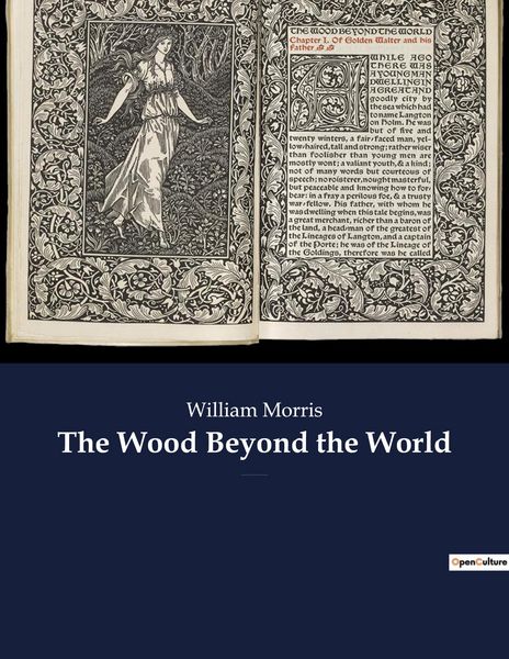 Produktbild: The Wood Beyond the World