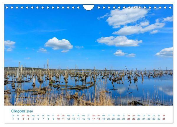 Produktbild: Streifzug auf Usedom (Wandkalender 2026 DIN A4 quer), CALVENDO Monatskalender