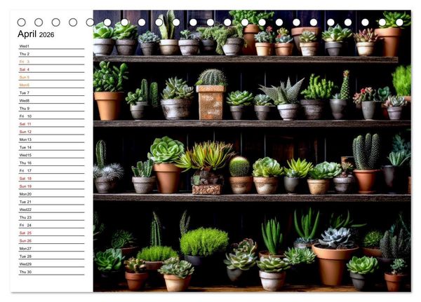 Produktbild: Cacti Wonderland (Desk Calendar 2026 DIN A5 landscape), CALVENDO 12 Month DeskCalendar