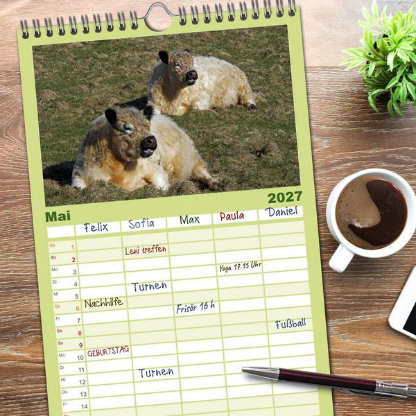 Produktbild: Familienplaner 2027 - Muuuhhh! mit 5 Spalten (Wandkalender, 21 x 45 cm) CALVENDO