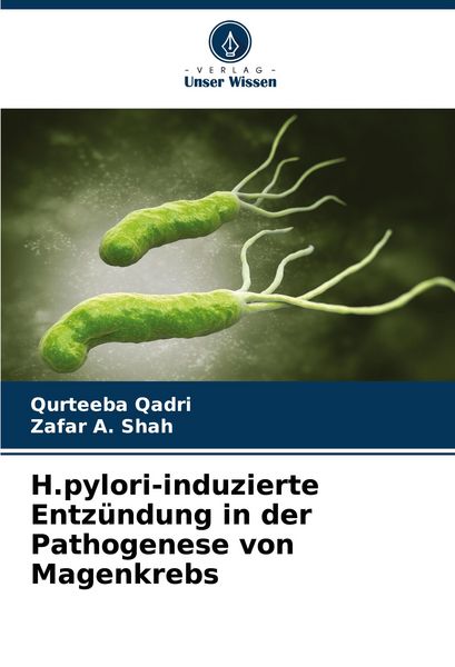 Produktbild: H.pylori-induzierte Entz&uuml;ndung in der Pathogenese von Magenkrebs