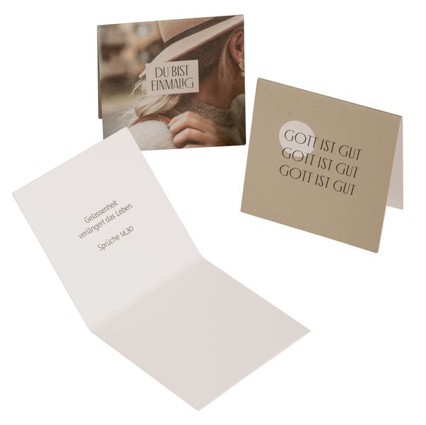 Leben in Fülle - 40 Wunschkärtchen, Sonstige von Stennie, SCM