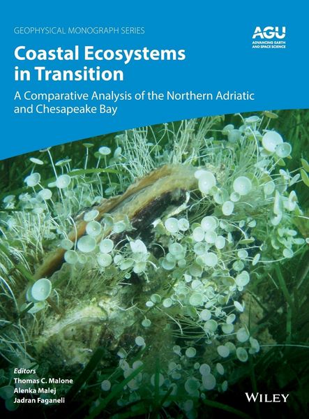 Produktbild: Coastal Ecosystems in Transition