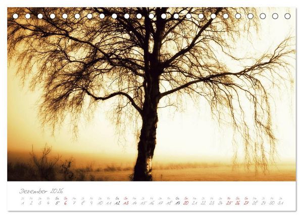 Produktbild: Teufelsmoor Impressionen (Tischkalender 2026 DIN A5 quer), CALVENDO Monatskalender