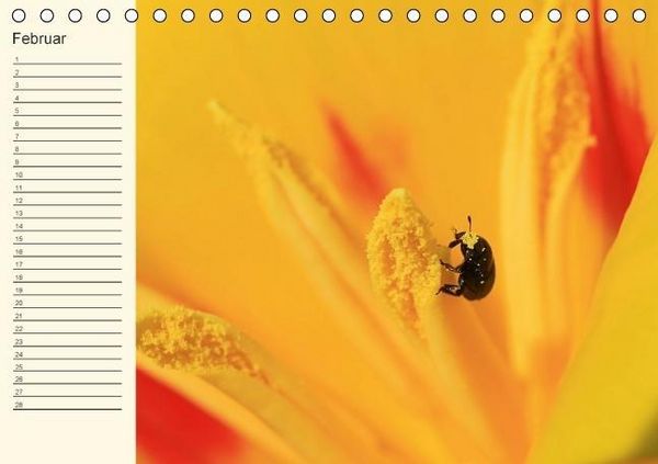 Produktbild: Geburtstagskalender "Nette Kleinigkeiten" (Tischkalender immerw&auml;hrend DIN A5 quer)