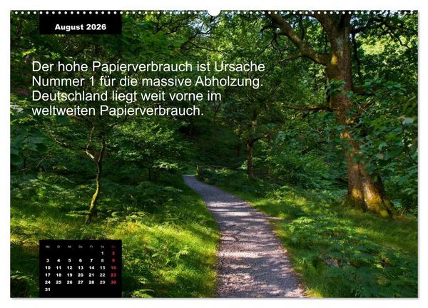 Produktbild: Schlaumeier-Kalender - Thema: Wald (Wandkalender 2026 DIN A2 quer), CALVENDO Monatskalender