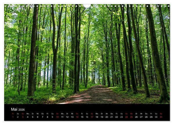 Produktbild: Meerbusch. Meerer Busch (Wandkalender 2026 DIN A3 quer), CALVENDO Monatskalender