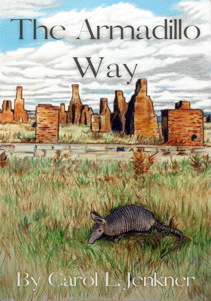 Produktbild: The Armadillo Way