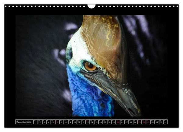 Produktbild: Australia Wildlife (Wandkalender 2026 DIN A3 quer), CALVENDO Monatskalender