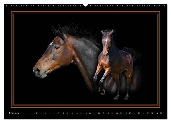 Produktbild: Traumpferde-ART-Collection (hochwertiger Premium Wandkalender 2026 DIN A2 quer), Kunstdruck in Hochglanz