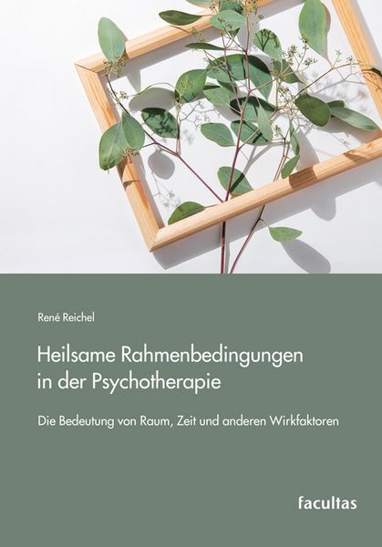 Produktbild: Heilsame Rahmenbedingungen in der Psychotherapie