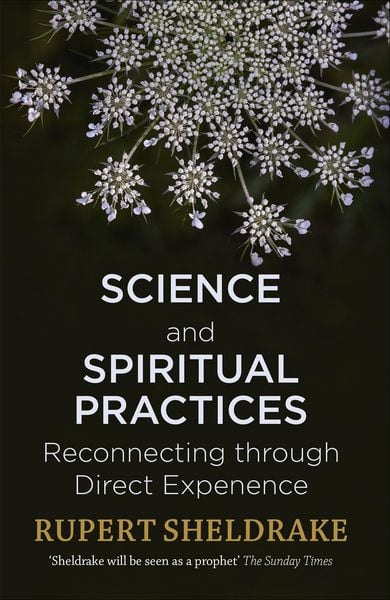 Produktbild: Science and Spiritual Practices