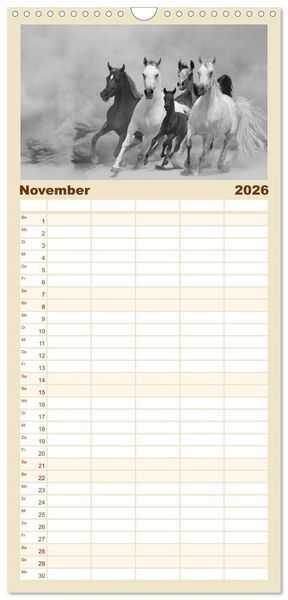 Produktbild: Familienplaner 2026 - Arabische Pferde mit 5 Spalten (Wandkalender, 21 x 45 cm) CALVENDO