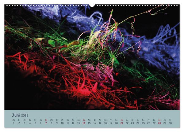 Produktbild: Leuchtfarben (Wandkalender 2026 DIN A2 quer), CALVENDO Monatskalender