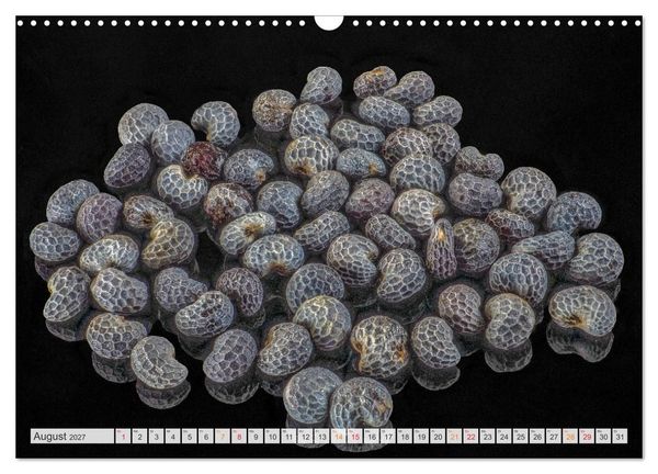 Produktbild: Zauber der kleinen Dinge (Wandkalender 2027 DIN A3 quer), CALVENDO Monatskalender
