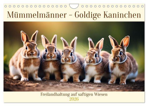 Mümmelmänner - Goldige Kaninchen (Wandkalender 2026 DIN A4 quer), CALVENDO Monatskalender