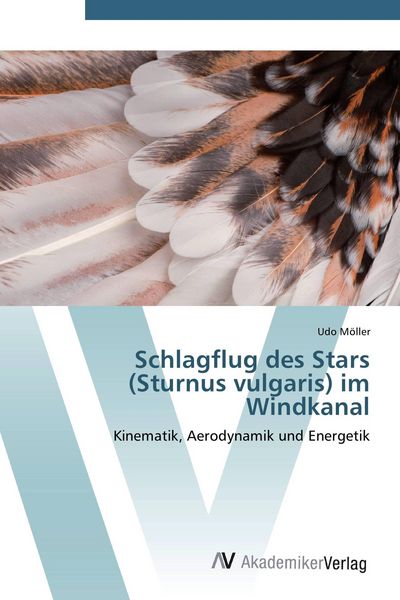 Produktbild: Schlagflug des Stars (Sturnus vulgaris) im Windkanal