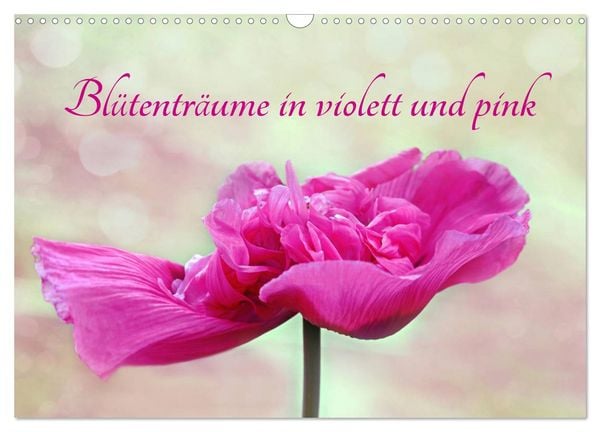 Produktbild: Bl&uuml;tentr&auml;ume in violett und pink (Wandkalender 2026 DIN A3 quer), CALVENDO Monatskalender
