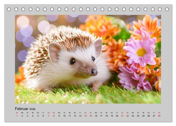 Produktbild: Mein Igel-Kalender (Tischkalender 2026 DIN A5 quer), CALVENDO Monatskalender