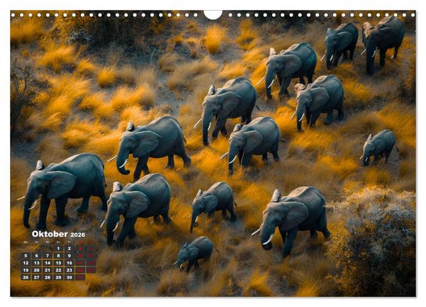 Produktbild: Liebenswerte Elefanten (Wandkalender 2026 DIN A3 quer), CALVENDO Monatskalender