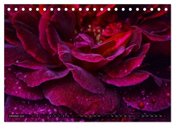 Produktbild: Gothic Rose - Rosen aus dem Garten der Finsternis (Tischkalender 2026 DIN A5 quer), CALVENDO Monatskalender
