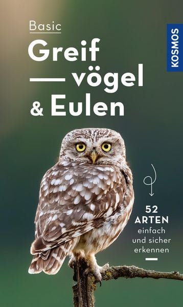 Produktbild: Basic Eulen Greifv&ouml;gel