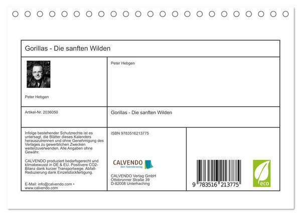Produktbild: Gorillas - Die sanften Wilden (Tischkalender 2026 DIN A5 quer), CALVENDO Monatskalender