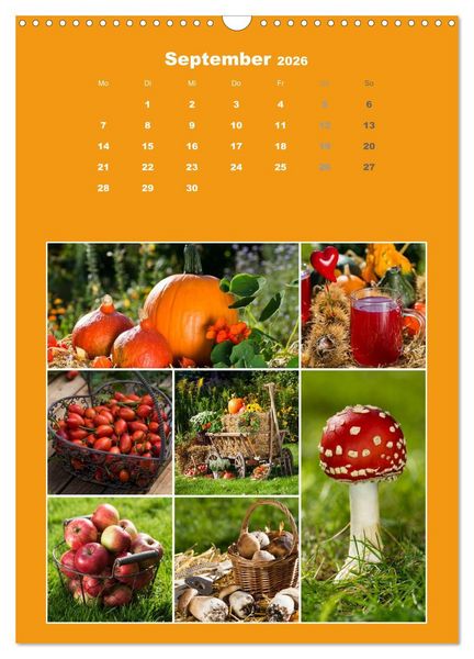 Produktbild: Der kunterbunte Collagen Kalender (Wandkalender 2026 DIN A3 hoch), CALVENDO Monatskalender