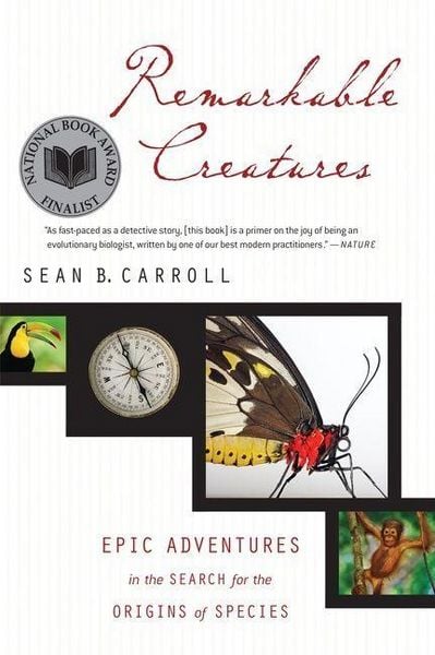 Produktbild: Remarkable Creatures