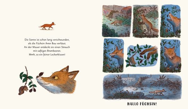 Produktbild: Wunder der Natur. Das Gute-Nacht-Buch
