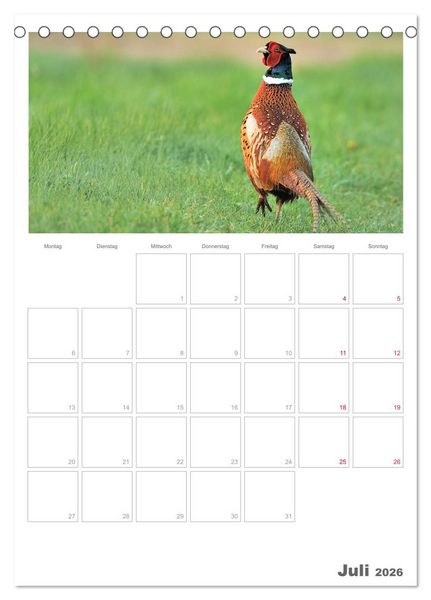 Produktbild: Rehe & Co / Planer (Tischkalender 2026 DIN A5 hoch), CALVENDO Monatskalender