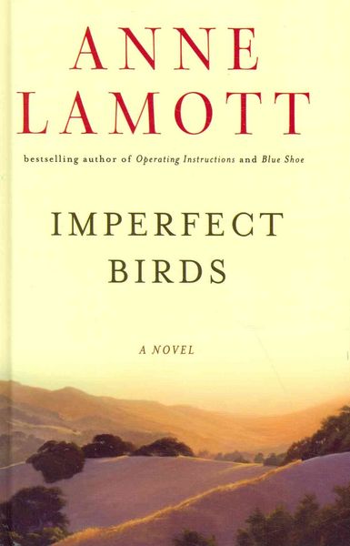 Produktbild: Imperfect Birds