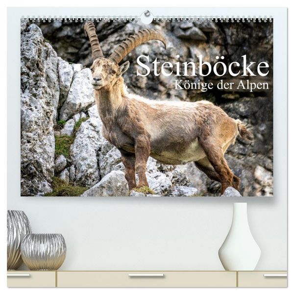 Produktbild: Steinb&ouml;cke - Majest&auml;tische Tiere der Alpen (hochwertiger Premium Wandkalender 2026 DIN A2 quer), Kunstdruck in Hochglanz