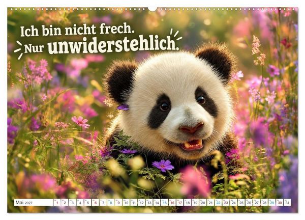Produktbild: Pandas mit Flausen im Kopf (Wandkalender 2027 DIN A2 quer), CALVENDO Monatskalender