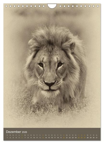 Produktbild: Afrikas Tierwelt - Sepia-Art (Wandkalender 2026 DIN A4 hoch), CALVENDO Monatskalender