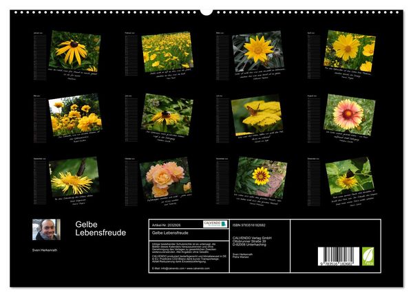 Produktbild: Gelbe Lebensfreude (hochwertiger Premium Wandkalender 2026 DIN A2 quer), Kunstdruck in Hochglanz