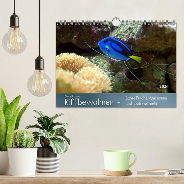 Produktbild: Riffbewohner - Bunte Fische, Anemonen und noch viel mehr (Wandkalender 2026 DIN A4 quer), CALVENDO Monatskalender