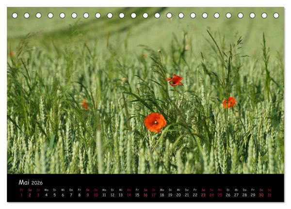 Produktbild: Just Mohn (Tischkalender 2026 DIN A5 quer), CALVENDO Monatskalender