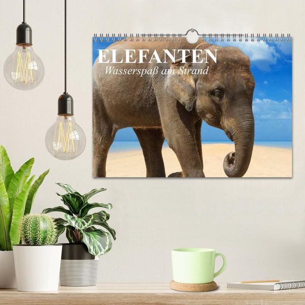 Produktbild: Elefanten - Wasserspa&szlig; am Strand (Wandkalender 2026 DIN A4 quer), CALVENDO Monatskalender