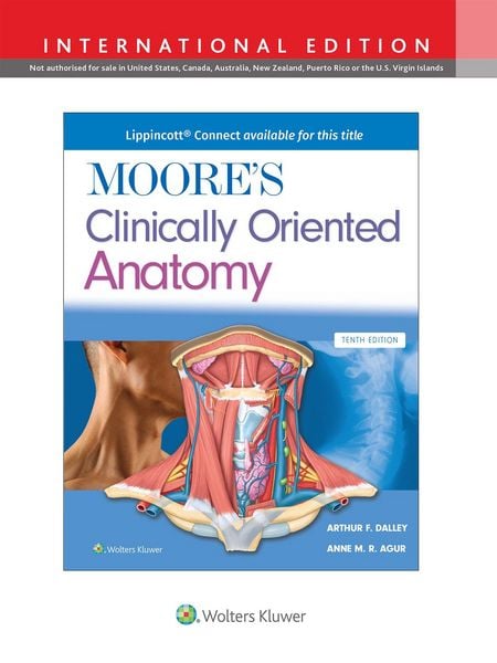 Produktbild: Moore's Clinically Oriented Anatomy