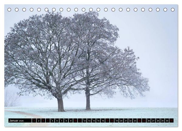 Produktbild: Mannheimer Impressionen. (Tischkalender 2026 DIN A5 quer), CALVENDO Monatskalender