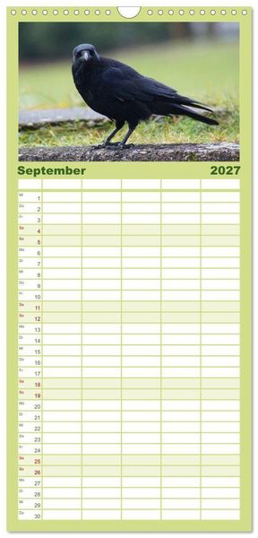 Produktbild: Familienplaner 2027 - Das Leben der Rabenv&ouml;gel mit 5 Spalten (Wandkalender, 21 x 45 cm) CALVENDO