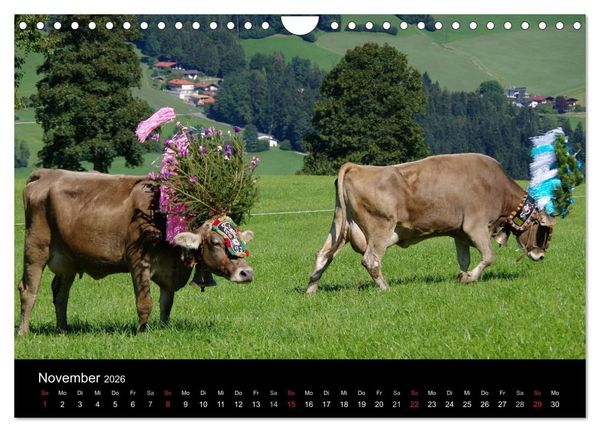 Produktbild: Almabtrieb in Tirol (Wandkalender 2026 DIN A4 quer), CALVENDO Monatskalender