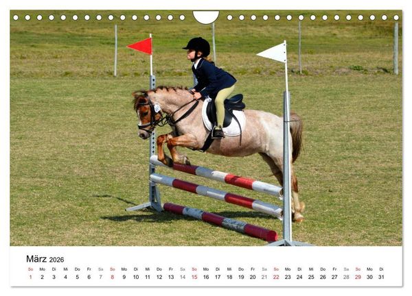 Produktbild: Eventing - Der ultimative Reitsport (Wandkalender 2026 DIN A4 quer), CALVENDO Monatskalender