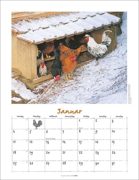 Produktbild: Der H&uuml;hnerkalender 2027
