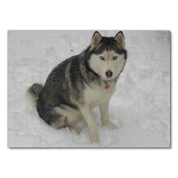 Produktbild: Lais Puzzle Husky 500 Teile