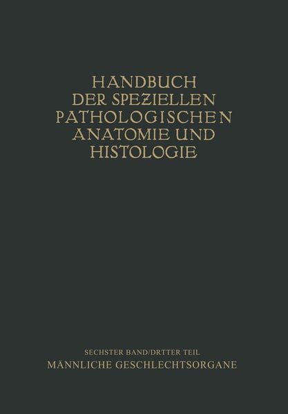 Produktbild: Harnorgane M&auml;nnliche Geschlechtsorgane