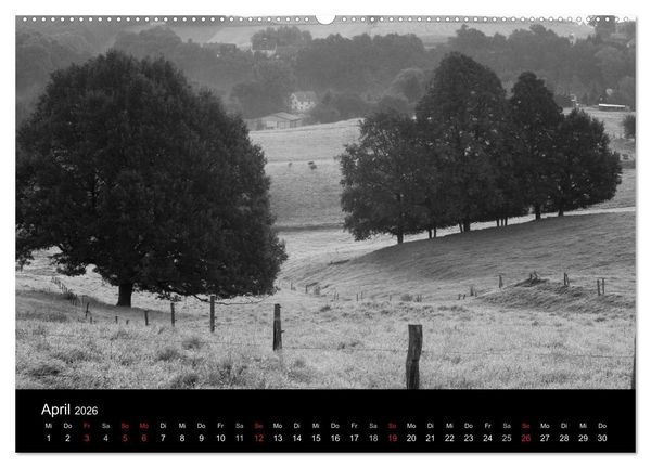 Produktbild: B&auml;ume trees 2026 (hochwertiger Premium Wandkalender 2026 DIN A2 quer), Kunstdruck in Hochglanz