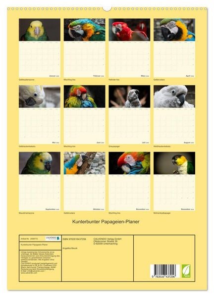 Produktbild: Kunterbunter Papageien-Planer (hochwertiger Premium Wandkalender 2026 DIN A2 hoch), Kunstdruck in Hochglanz