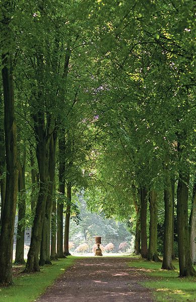 Produktbild: In einem fremden Park